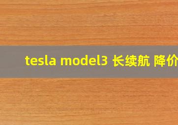 tesla model3 长续航 降价